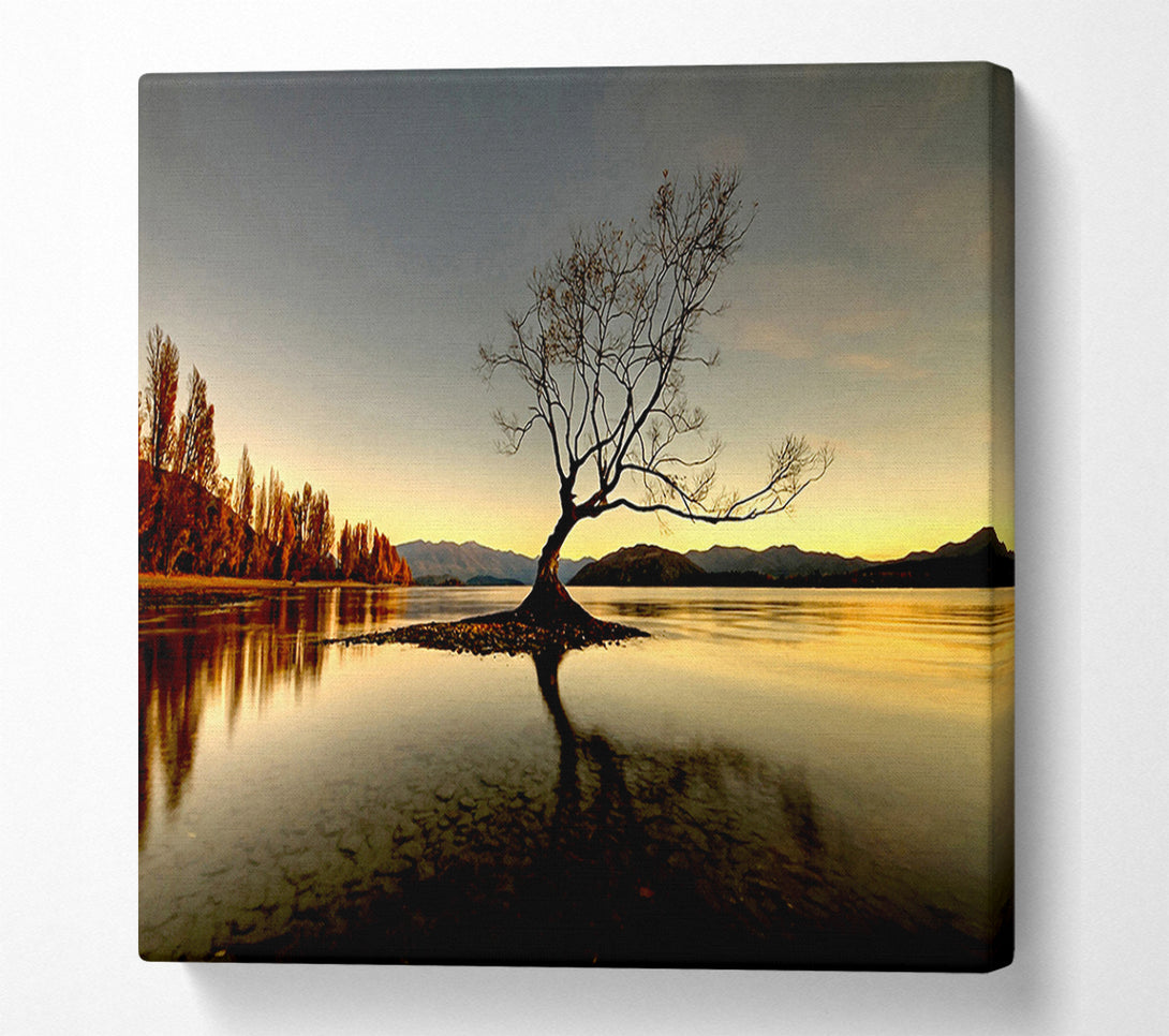  A Canvas Print of Lonely Lake Tree Canvas Print