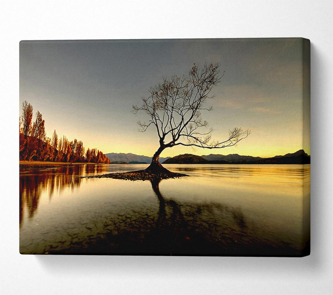  A Canvas Print of Lonely Lake Tree Canvas Print