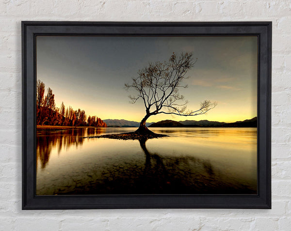 Lonely Lake Tree Framed Print