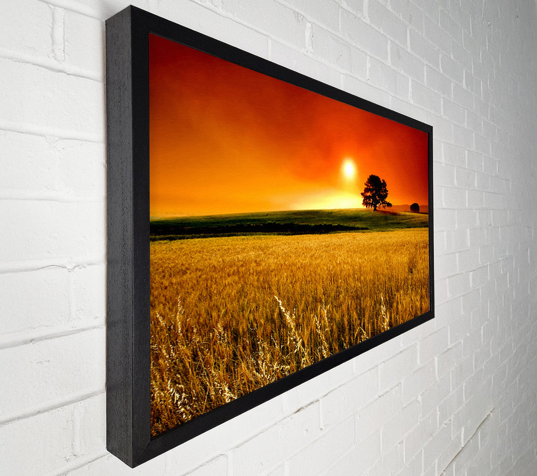  A Canvas Print of Stunning Countryside Sunset Canvas Art