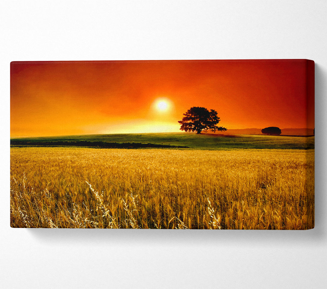  A Canvas Print of Stunning Countryside Sunset Canvas Art