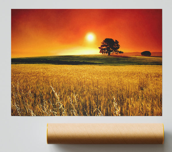 Stunning Countryside Sunset Poster