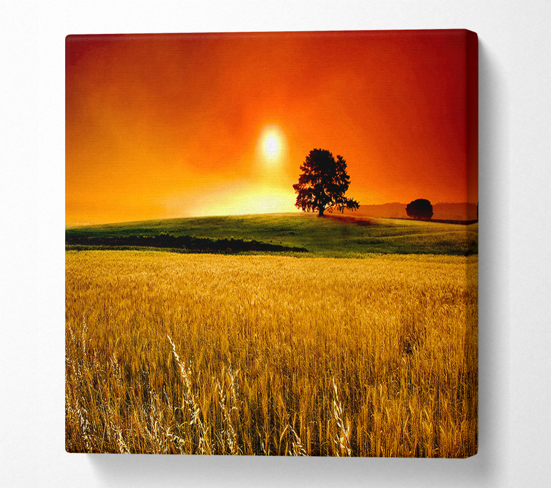  A Canvas Print of Stunning Countryside Sunset Canvas Art
