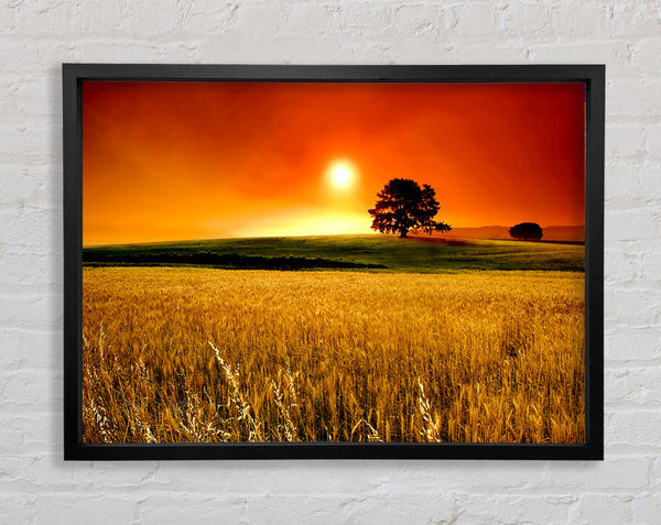 Stunning Countryside Sunset Framed Print