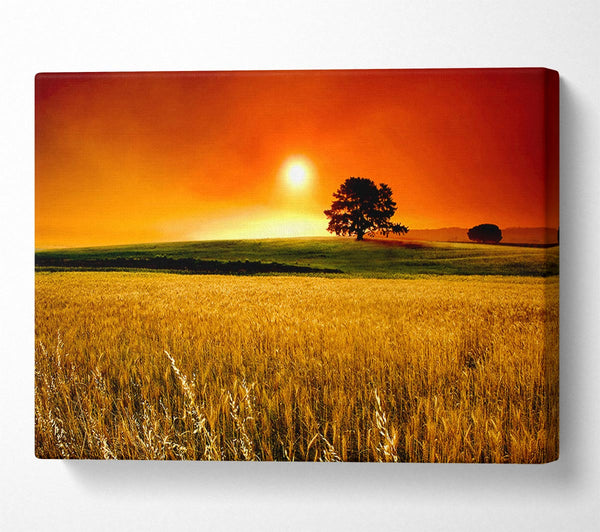  A Canvas Print of Stunning Countryside Sunset Canvas Art