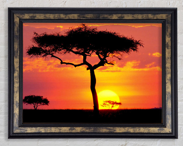 Sunset In Kenya Framed Print