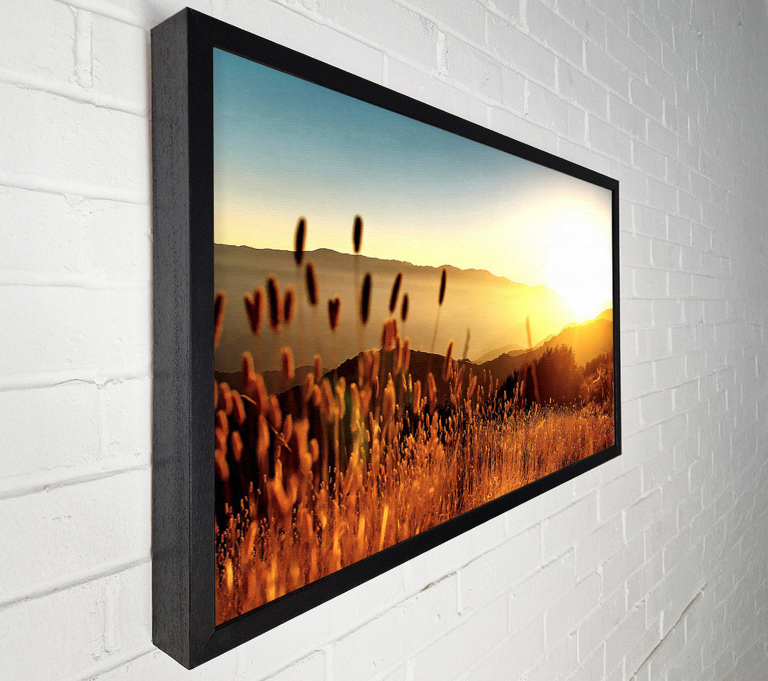 A Canvas Print of Late Summer Field Canvas Wall Art
