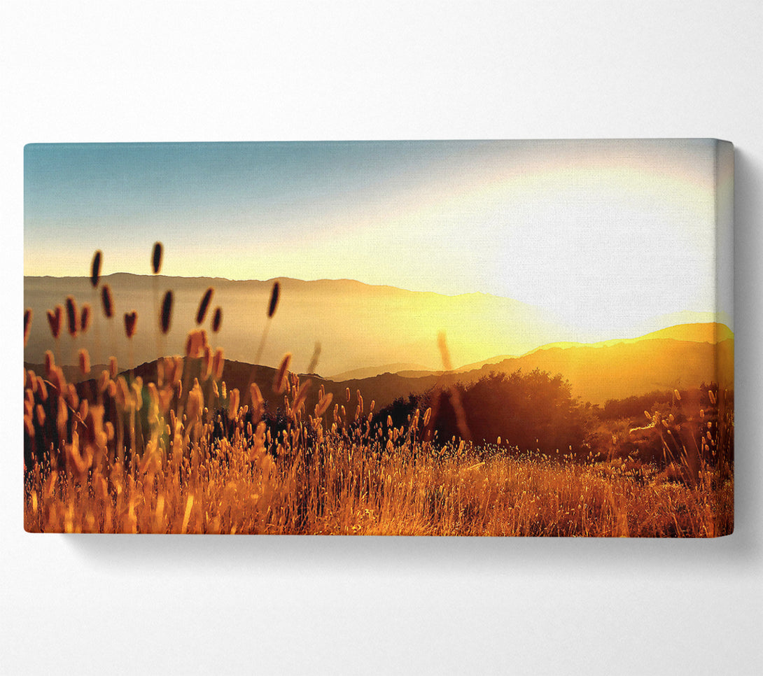  A Canvas Print of Late Summer Field Canvas Wall Art