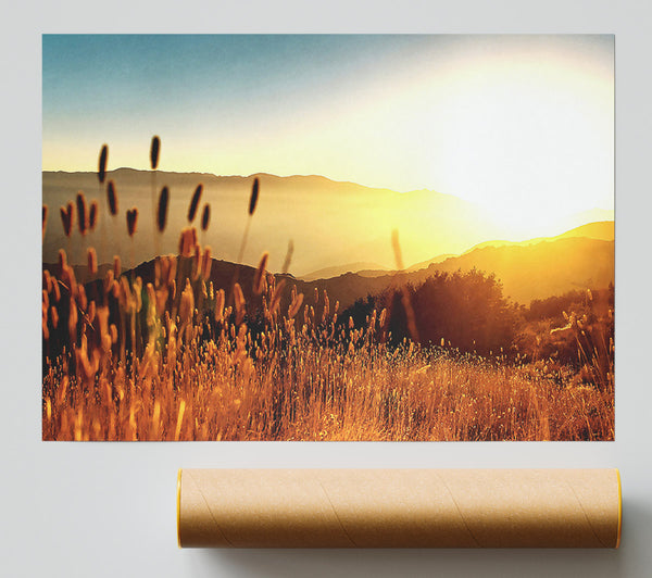 Late Summer Field Giclee Print