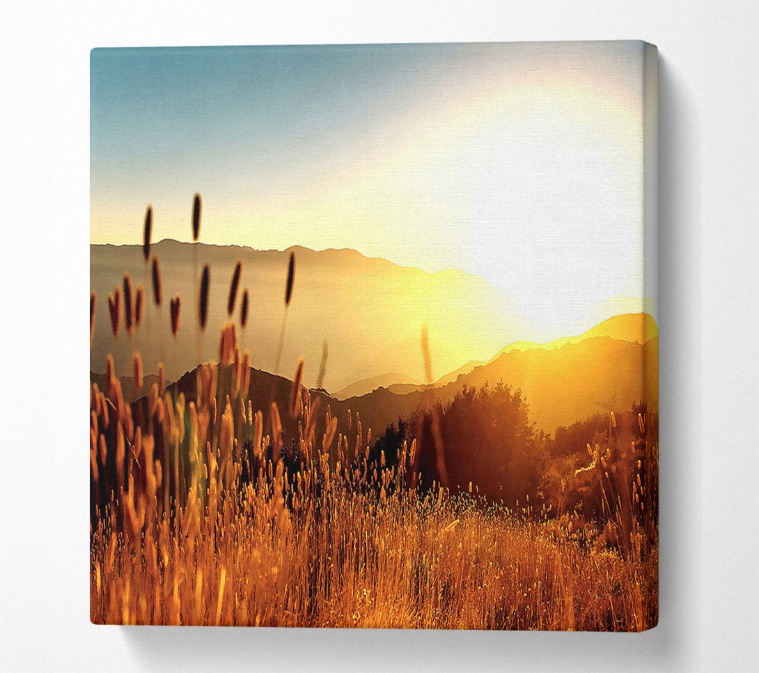  A Canvas Print of Late Summer Field Canvas Wall Art