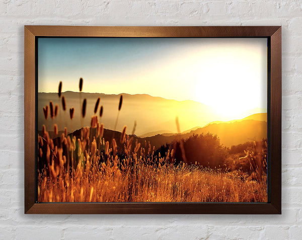 Late Summer Field Framed Print