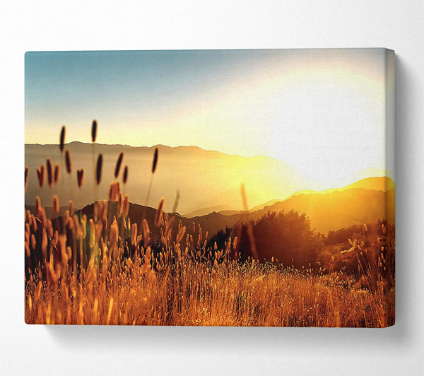  A Canvas Print of Late Summer Field Canvas Wall Art