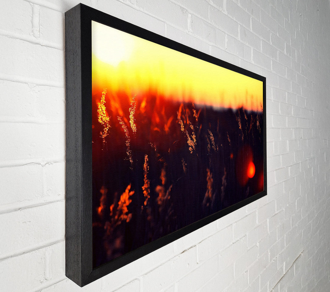  A Canvas Print of Hot Sunset Canvas Print