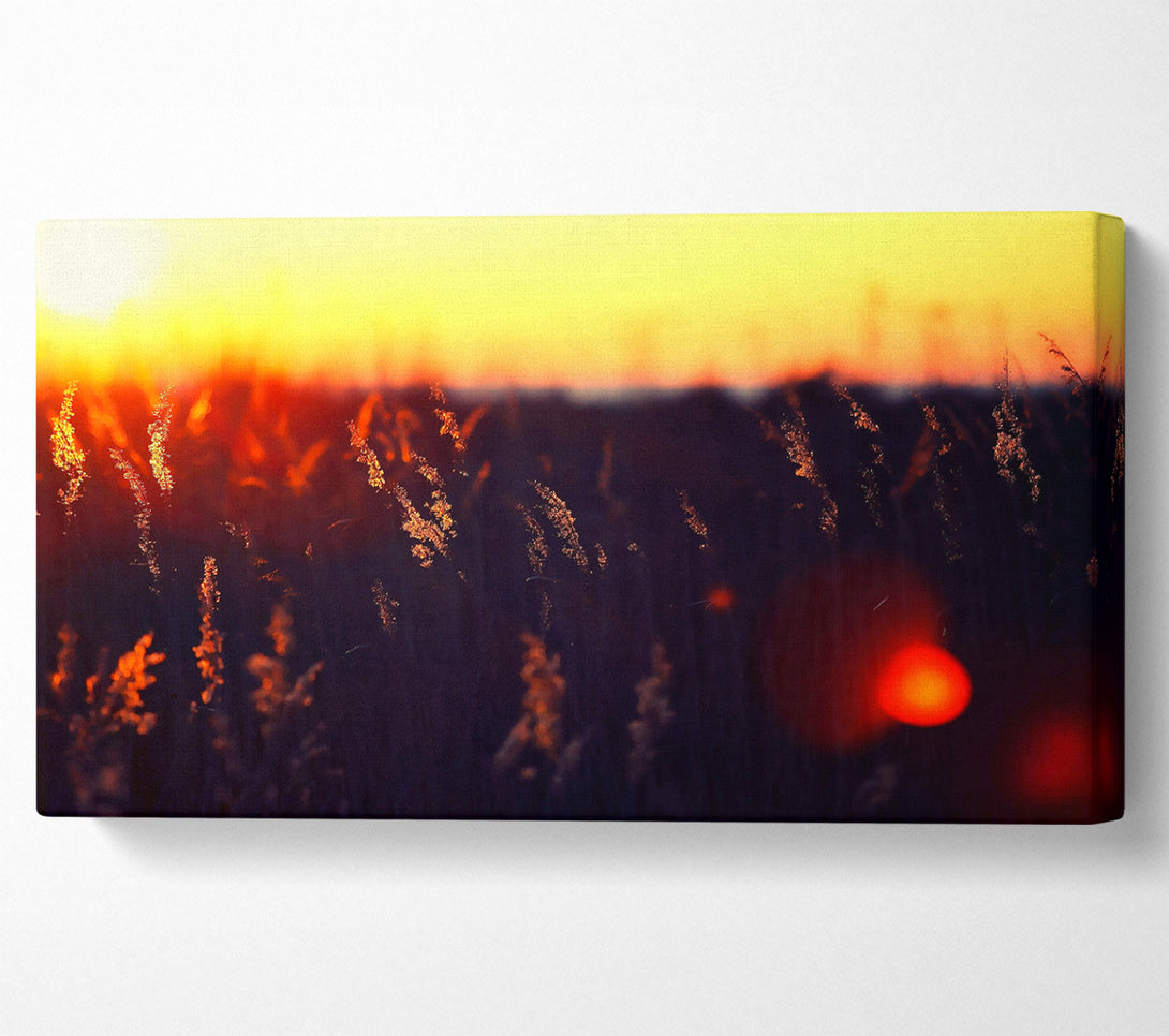  A Canvas Print of Hot Sunset Canvas Print