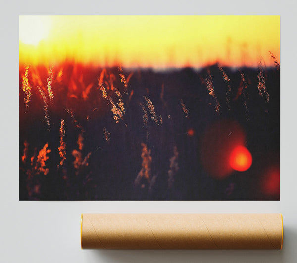 Hot Sunset Giclee Print