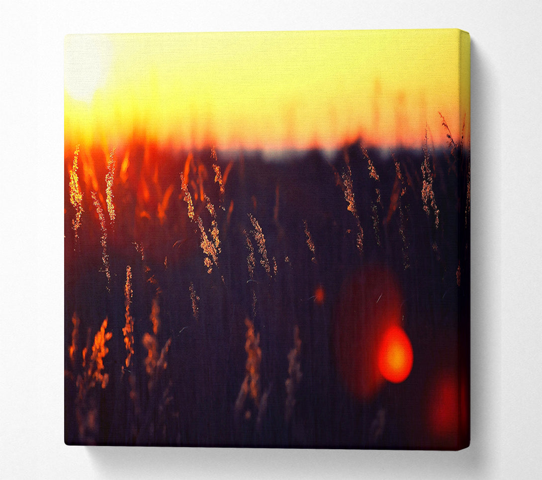  A Canvas Print of Hot Sunset Canvas Print
