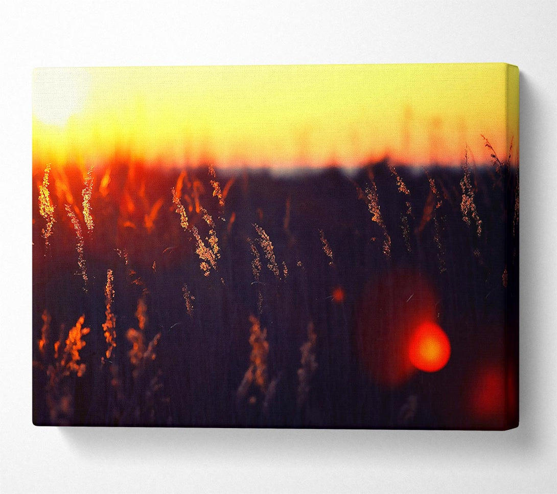  A Canvas Print of Hot Sunset Canvas Print