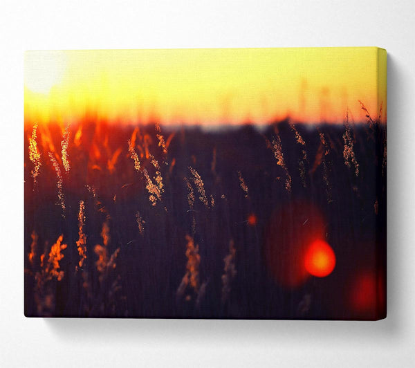  A Canvas Print of Hot Sunset Canvas Print