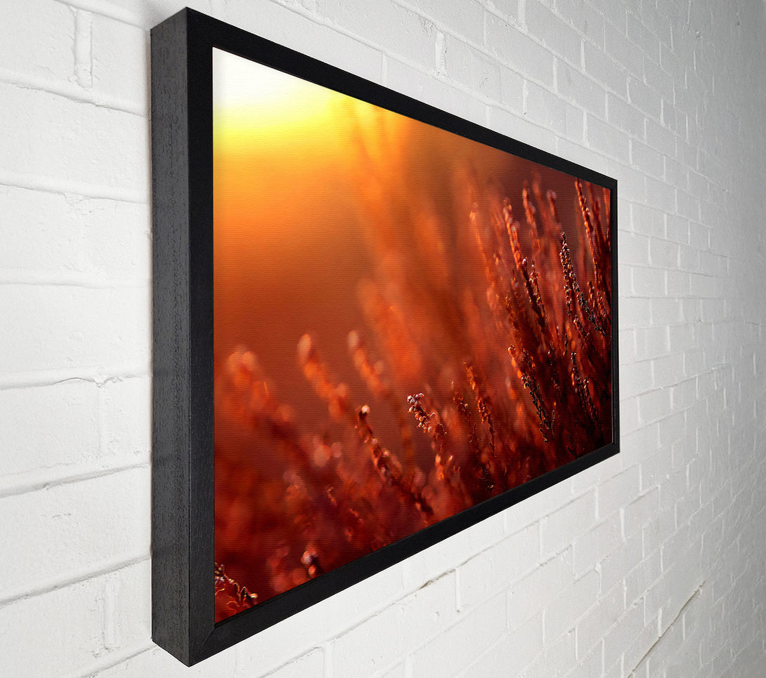  A Canvas Print of Sun Glare Canvas Print
