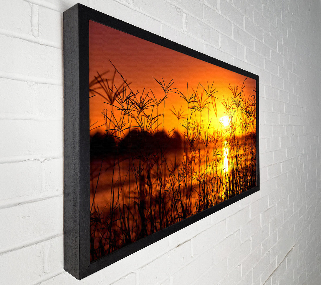  A Canvas Print of Sunset Light Summer Canvas Print