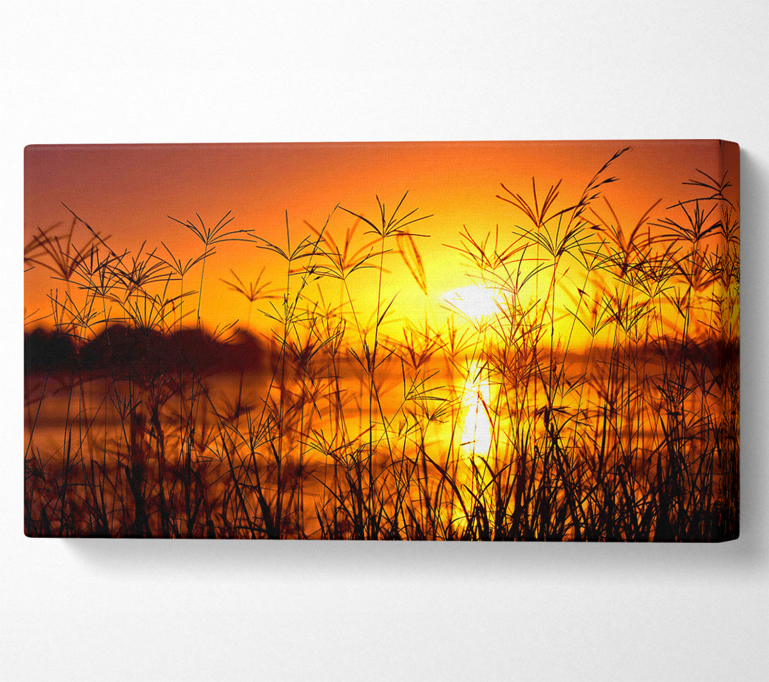  A Canvas Print of Sunset Light Summer Canvas Print