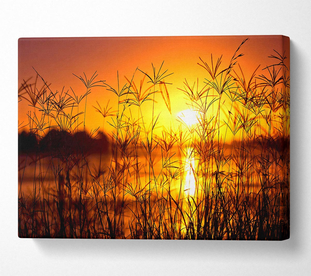  A Canvas Print of Sunset Light Summer Canvas Print