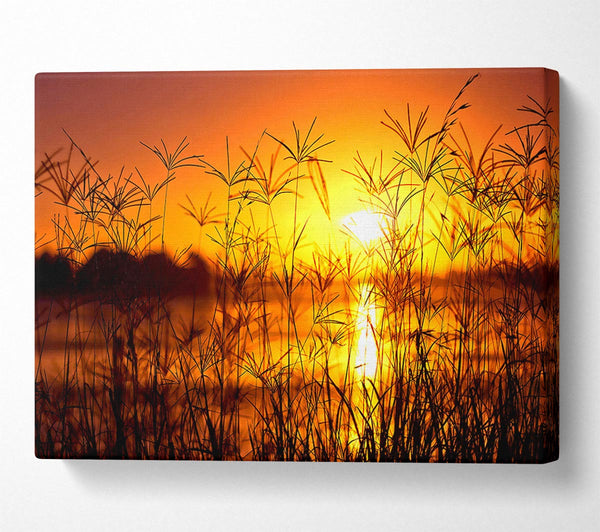  A Canvas Print of Sunset Light Summer Canvas Print