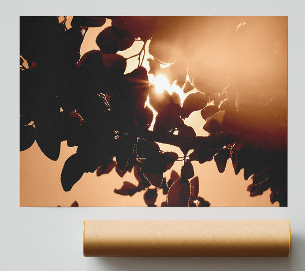 Sunlight Through Leaves Giclee Print
