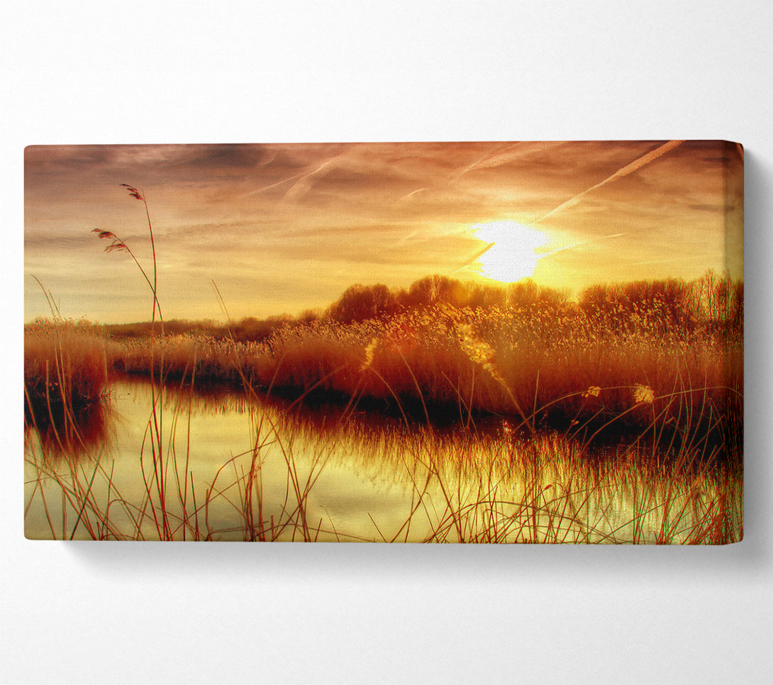  A Canvas Print of Sunset At Bieslandse Forest Canvas Wall Art