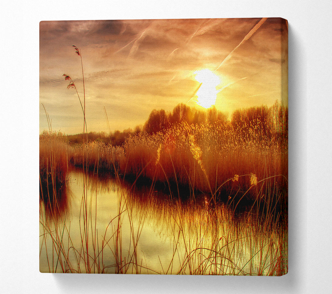  A Canvas Print of Sunset At Bieslandse Forest Canvas Wall Art