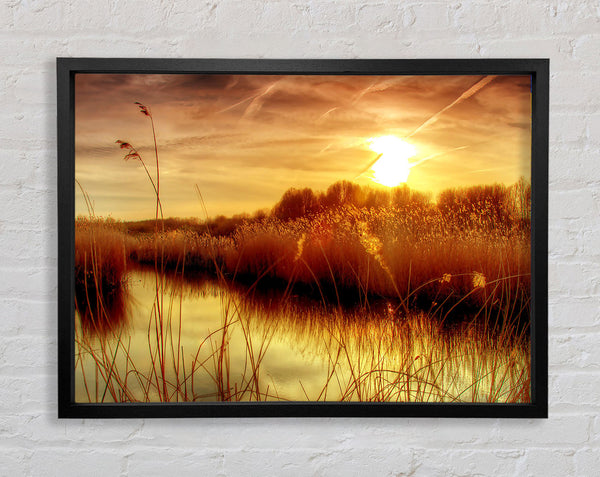 Sunset At Bieslandse Forest Framed Print