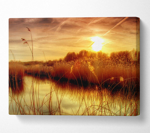  A Canvas Print of Sunset At Bieslandse Forest Canvas Wall Art