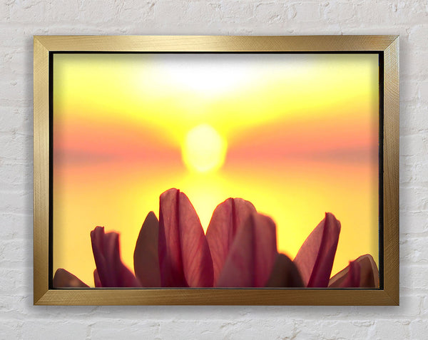 Life Source Framed Print
