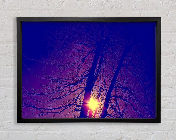 Sun At Dusk Between The Trees Framed Print