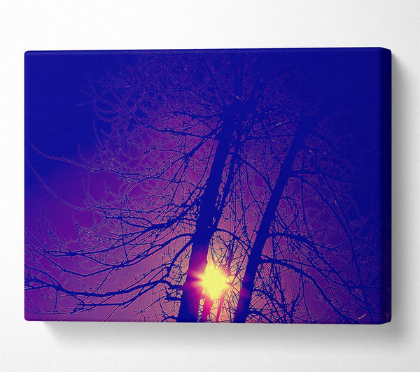  A Canvas Print of Sun At Dusk Between The Trees Canvas Print
