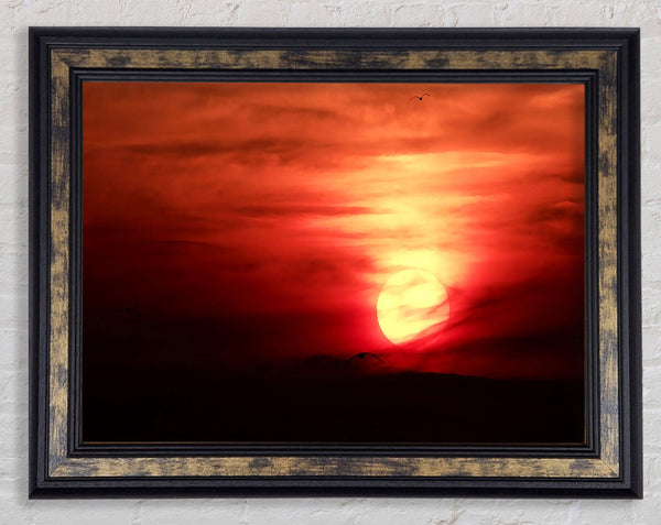 Journey To The Sun Framed Print