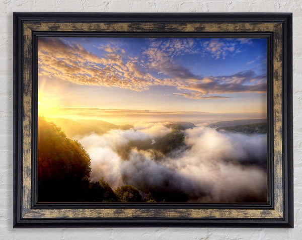 Morning Mist Over The Forest Framed Print