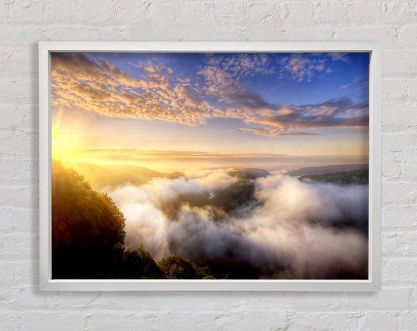 Morning Mist Over The Forest Framed Print