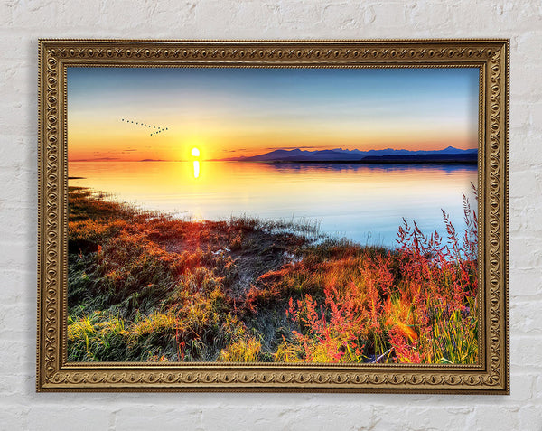 Migratory Birds Flying Over The Mountain Lake Framed Print
