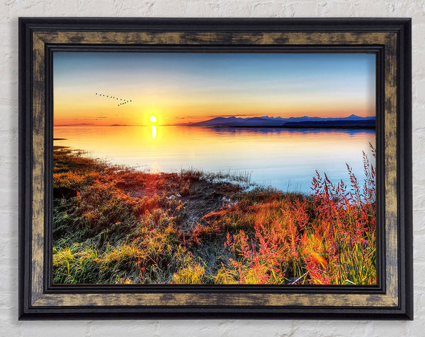 Migratory Birds Flying Over The Mountain Lake Framed Print