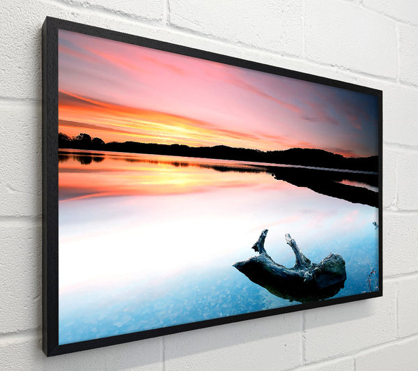 Driftwood In The Tranquil Ocean