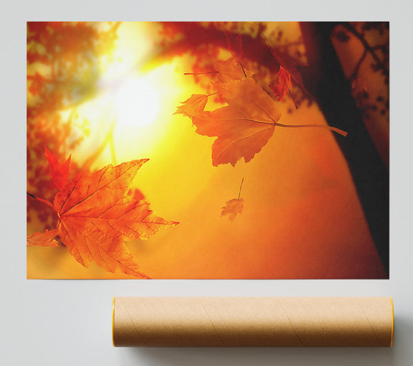 Orange Autumn Poster