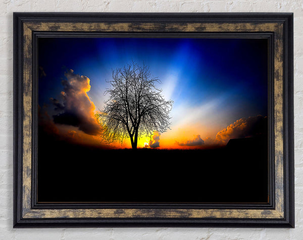 The Next Morning Framed Print