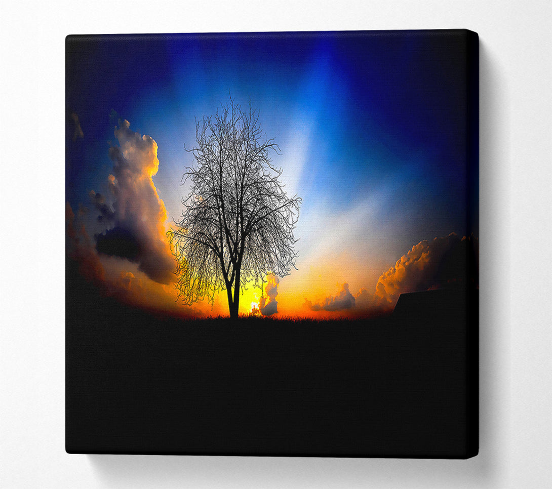  A Canvas Print of The Next Morning Canvas Art
