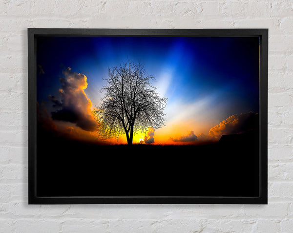 The Next Morning Framed Print