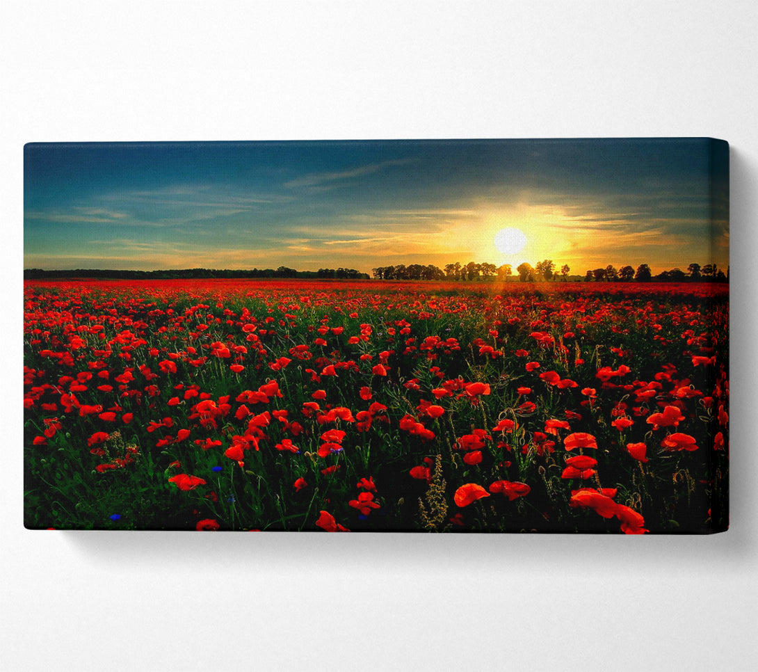  A Canvas Print of Red Flower Garden Canvas Wall Art