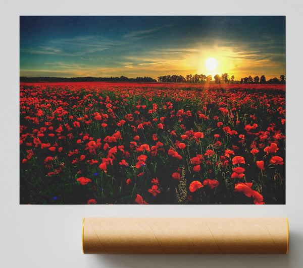 Red Flower Garden Giclee Print