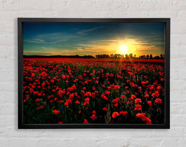 Red Flower Garden Framed Print