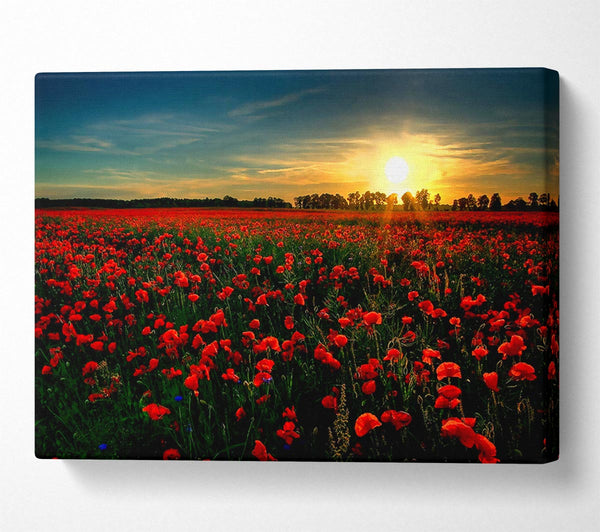  A Canvas Print of Red Flower Garden Canvas Wall Art