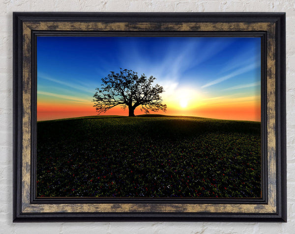 Sunset Hill Framed Print